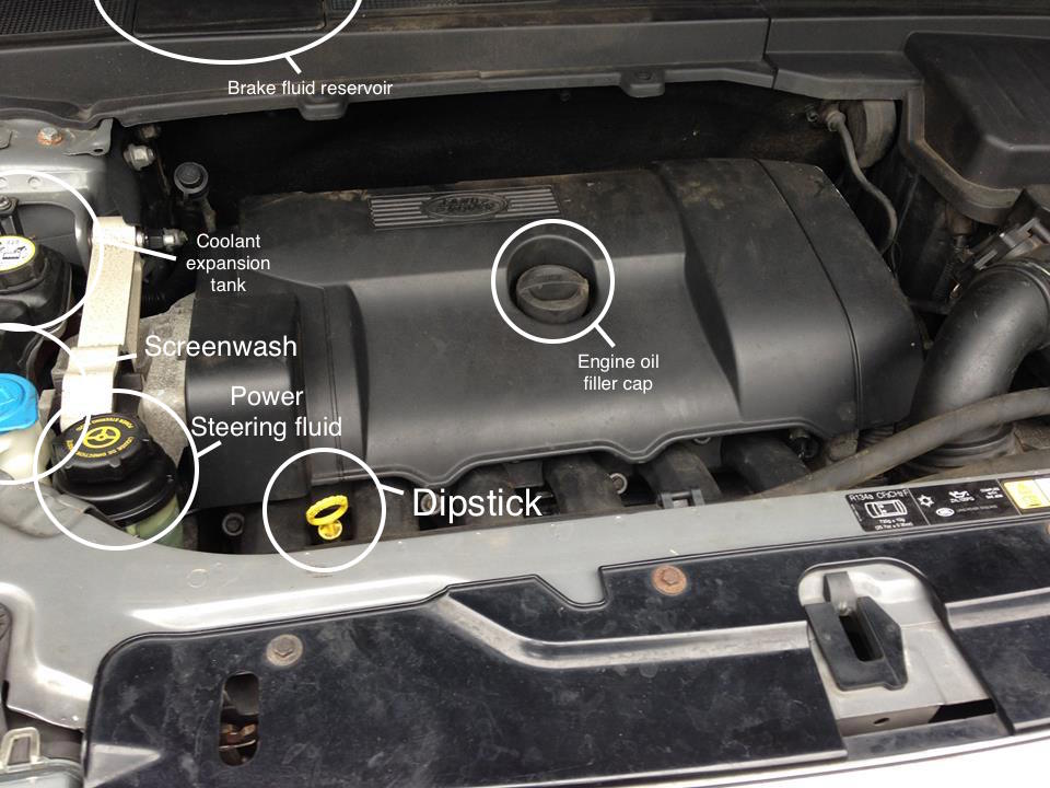 How To Check Your Freelander Fluids « Freelanderspecialist.com