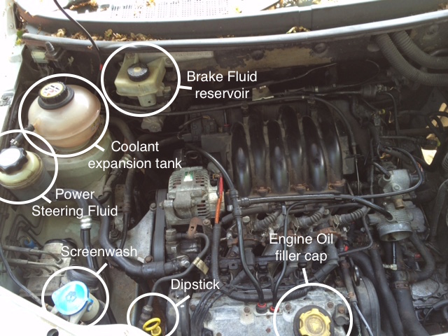 How To Check Your Freelander Fluids « Freelanderspecialist.com