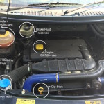 FL1, TD4, DS, SW, BFR, OFC, CR, PSF