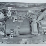 Photo 11-06-2015 13 19 18